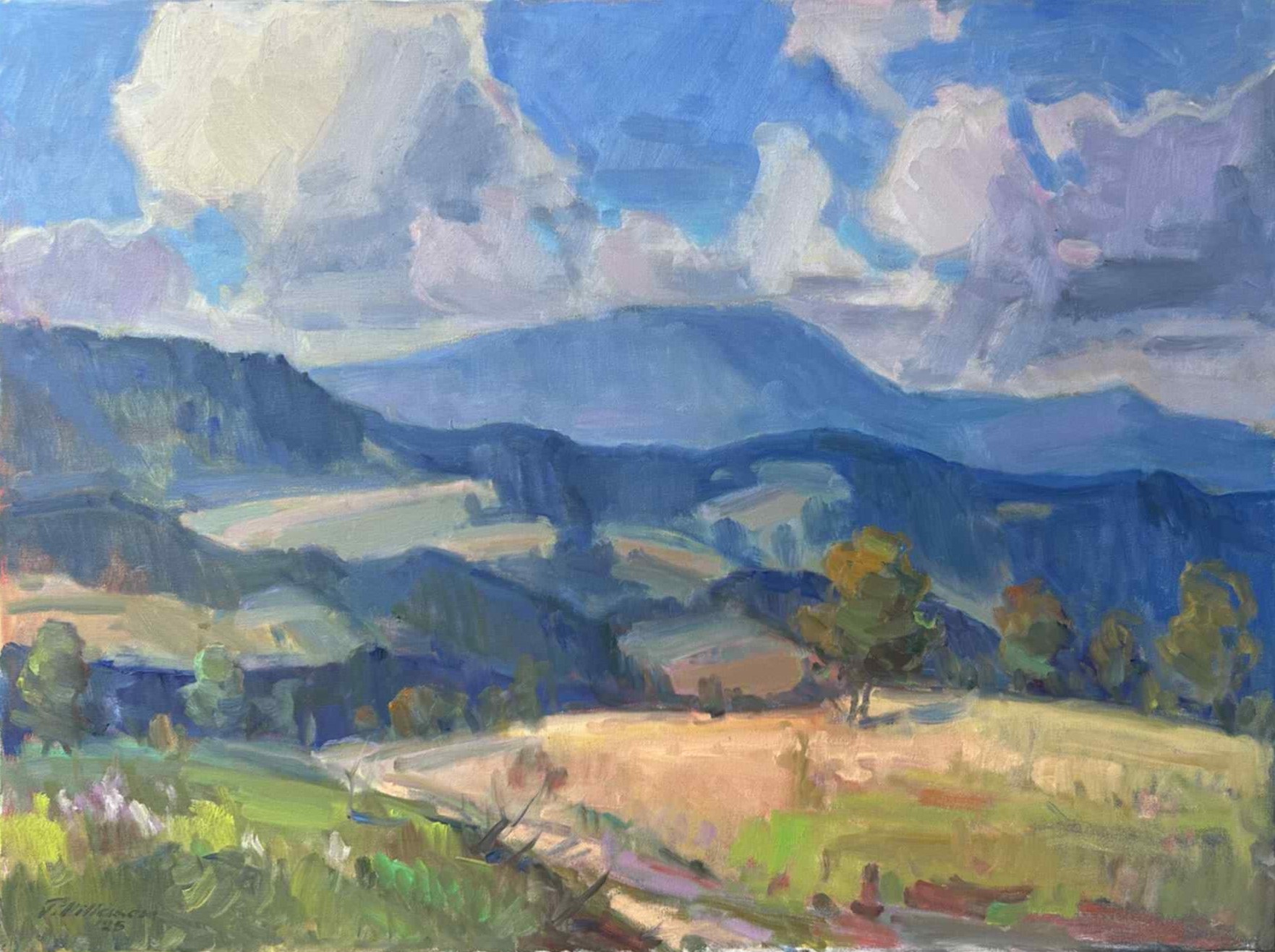 Füves rét a hegyek alatt, 60x80, olaj, vászon