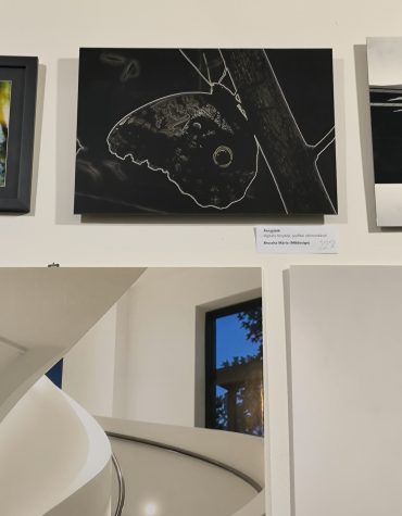 Kiállításon